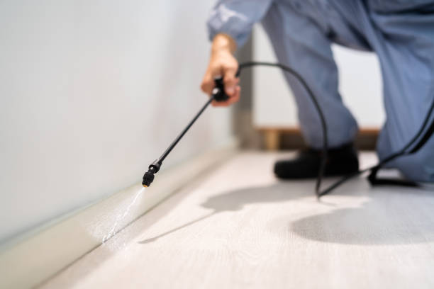 Rodent Entry Point Assessment in Fort Bliss