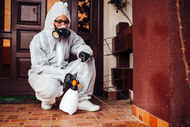 Attic and Crawl Space Rodent Treatment in Fort Bliss