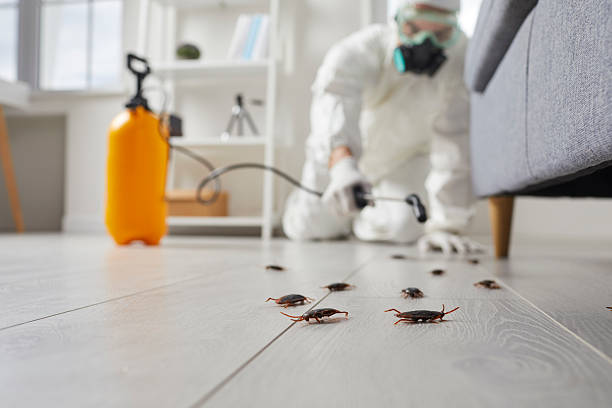 Commercial Rodent Management in Fort Bliss